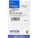 Epson Cyan DuraBrite Ultra Ink (T792290)