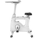 FLEXISPOT All-in-One Desk Bike (Deskcise Pro) (V9)