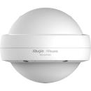 Ruijie RG-EAP602 AC1200 Dual Band Gigabit Outdoor Access Point