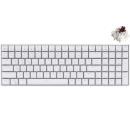 Royal Kludge RK100 RGB Hot-Swappable Mechanical Gaming Keyboard Brown Switch White (EN/TH)