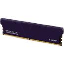 V-color 16GB Skywalker Plus DDR4 3200MHz DIMM CL16 Violet (1x16GB)(TO416G32D816DSPPPS)